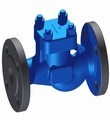 Check Valve